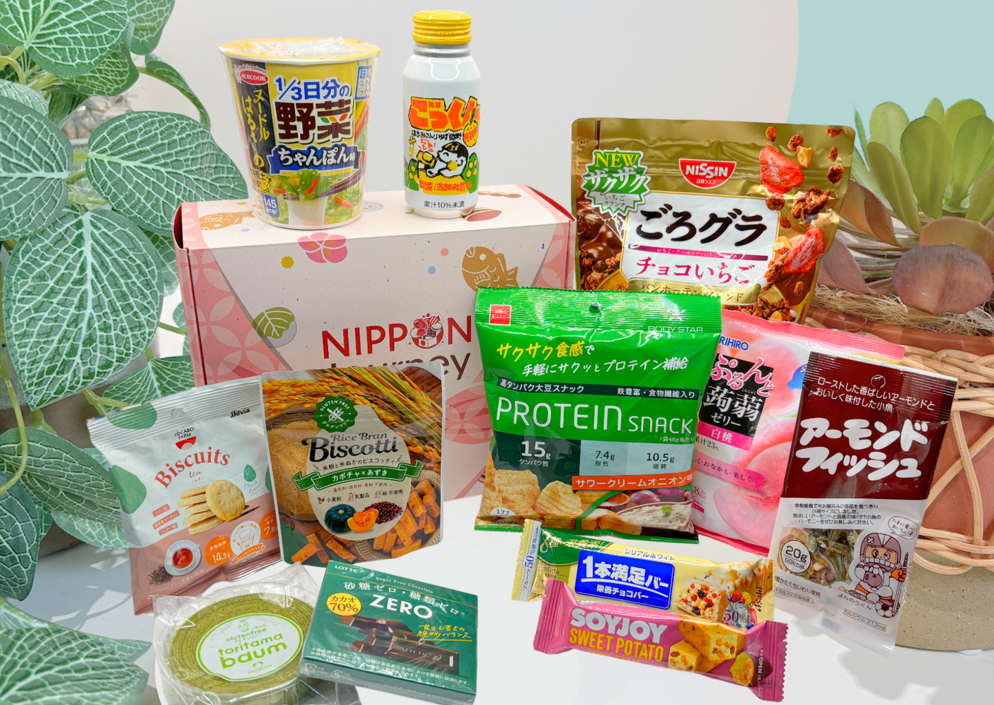 Past BOX (October-25) Japanese Healthy Delights Box