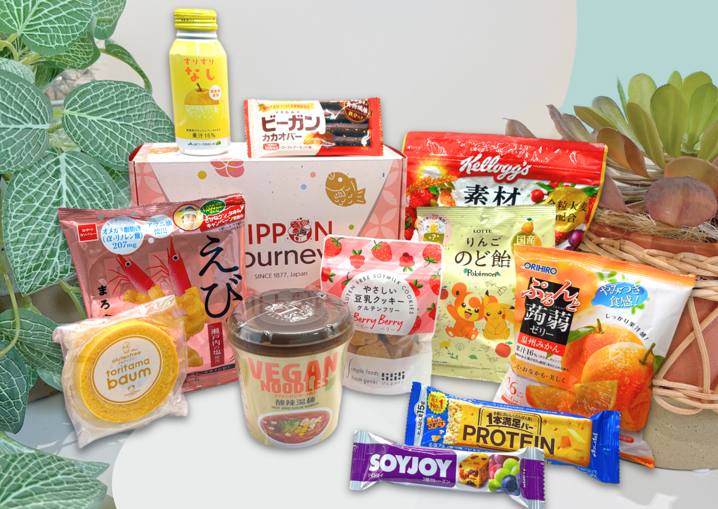 Past BOX (September-25) Japanese Healthy Delights Box