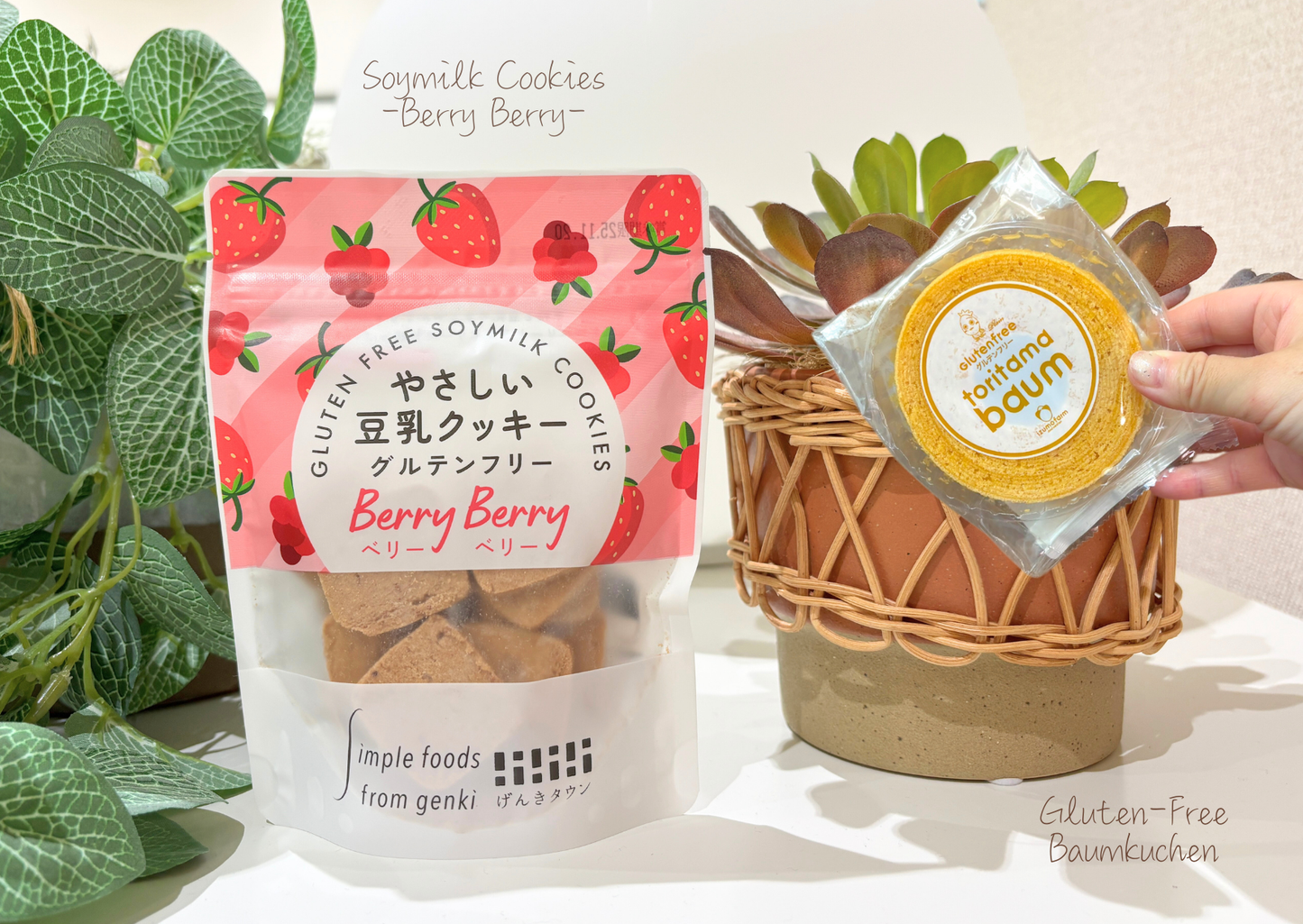 Past BOX (September-25) Japanese Healthy Delights Box