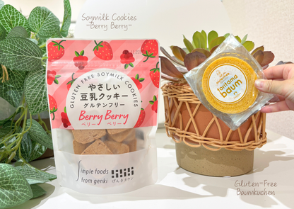 Past BOX (September-25) Japanese Healthy Delights Box