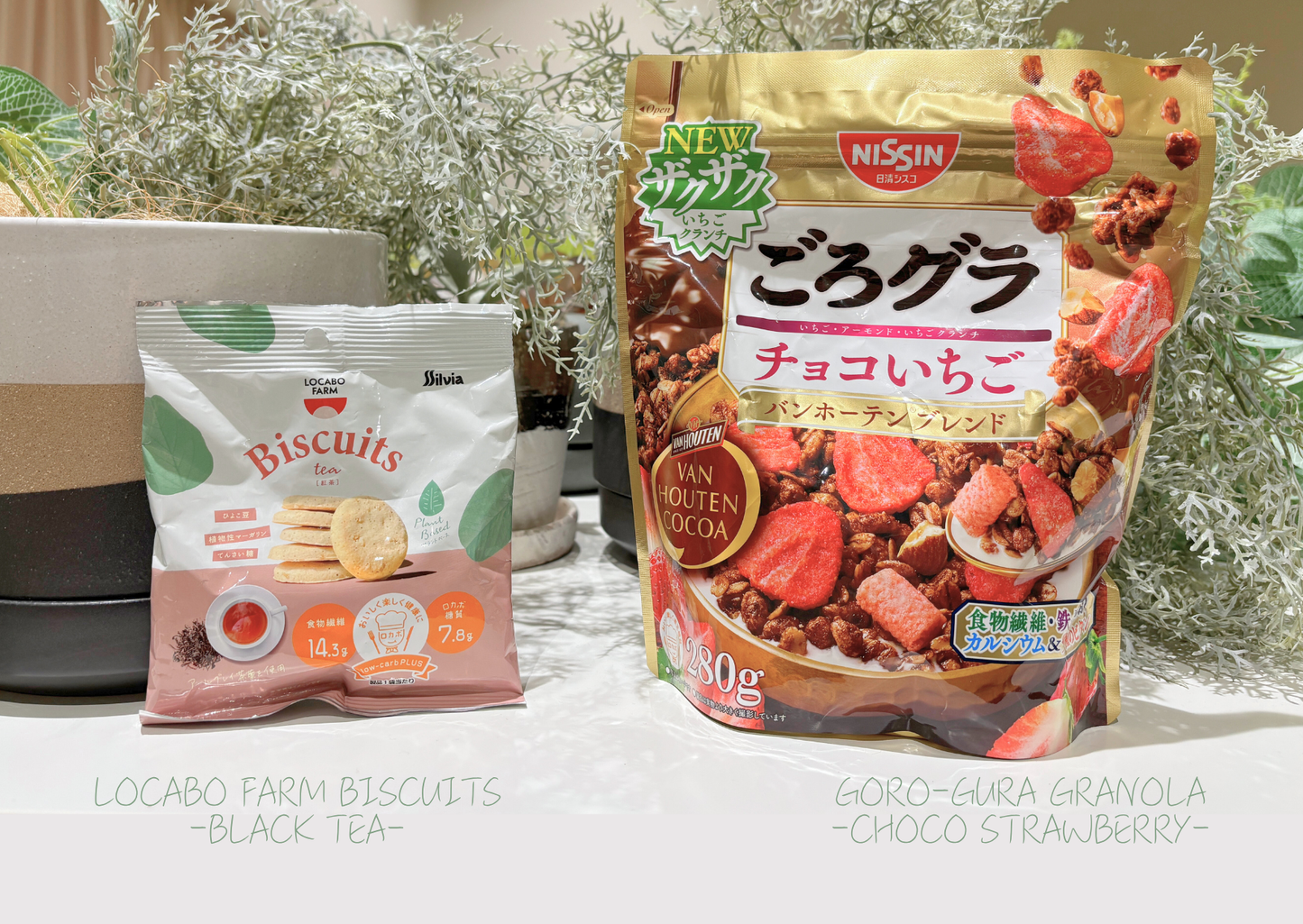 Past BOX (October-25) Japanese Healthy Delights Box