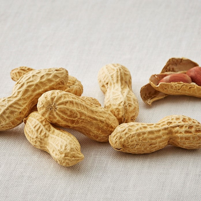 Large whole peanuts with shells, imported from China, showcasing deep flavor. Common allergen: peanuts. Perfect for outdoor cultivation.