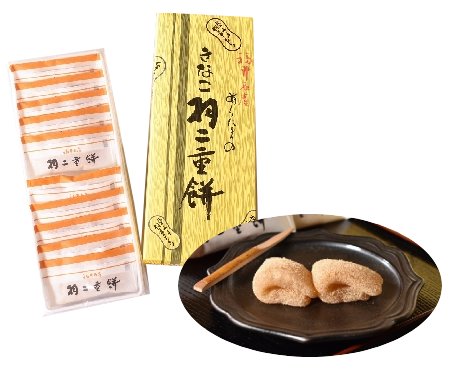 Habutae Mochi in brown sugar and soybean flour packaging, on a traditional plate. Award-winning Japanese confection.