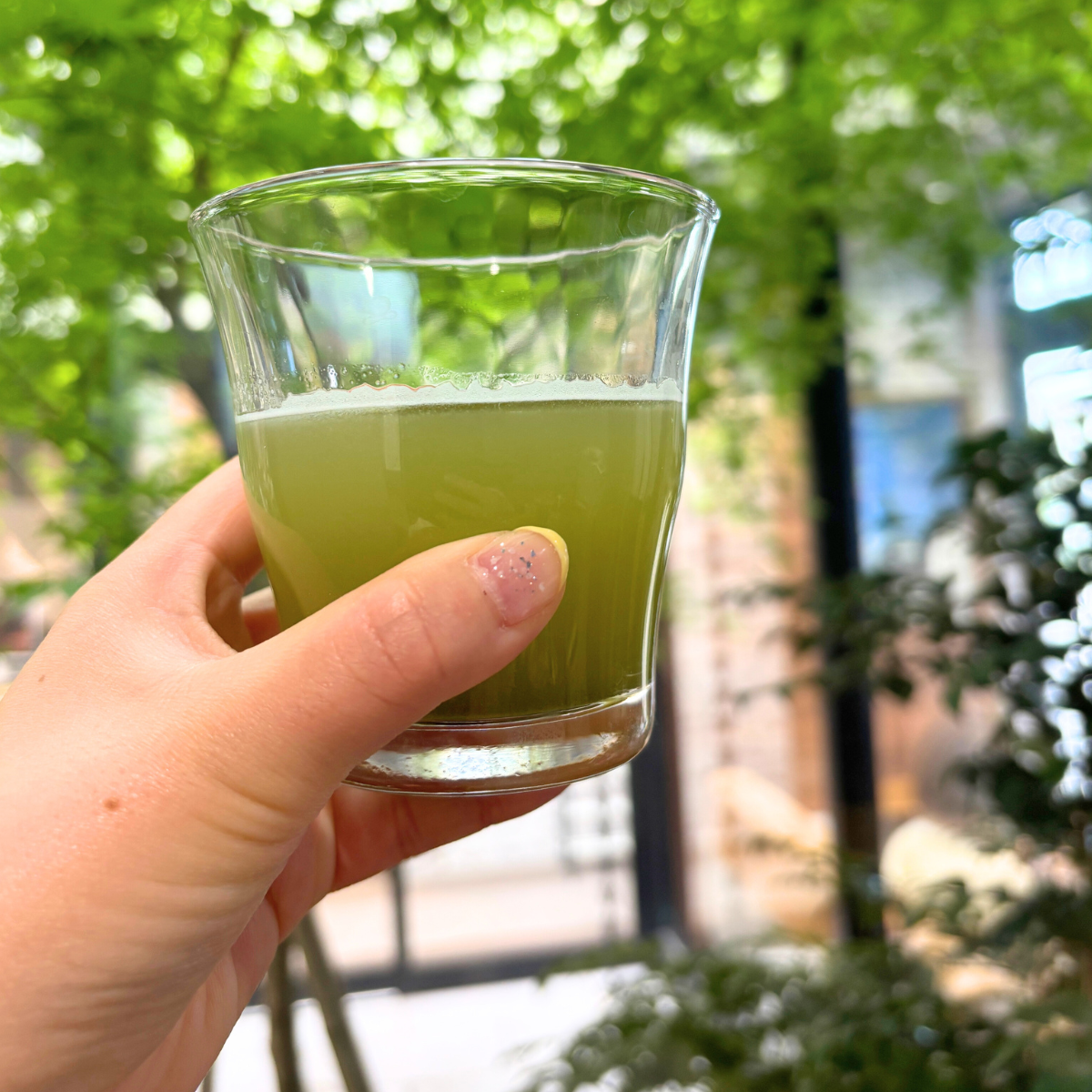 Hand holding a glass of green tea with a lush garden background, showcasing refreshment and natural ambiance.
