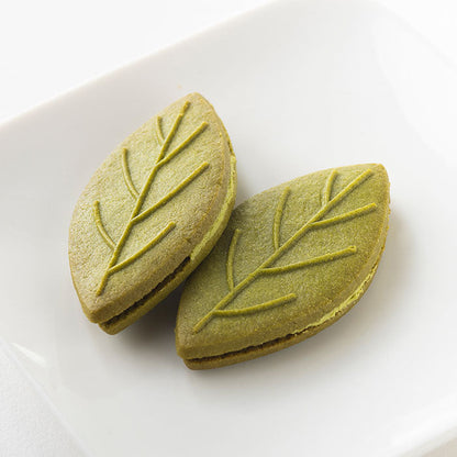Shizuoka Green Tea Sandwich Cookies shaped like tea leaves, highlighting fresh tea flavor. Contains wheat, dairy, egg, soy.