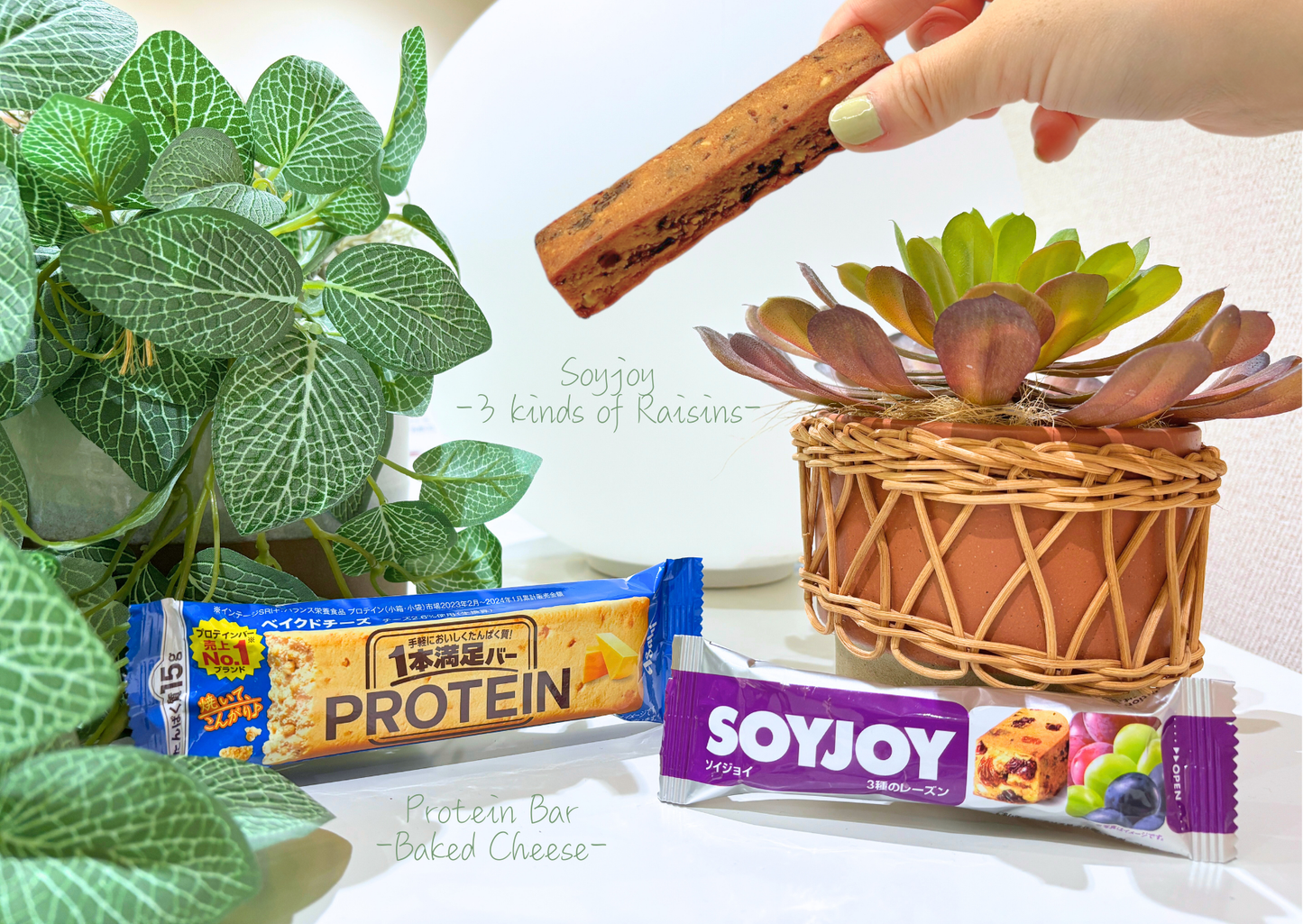 Past BOX (September-25) Japanese Healthy Delights Box