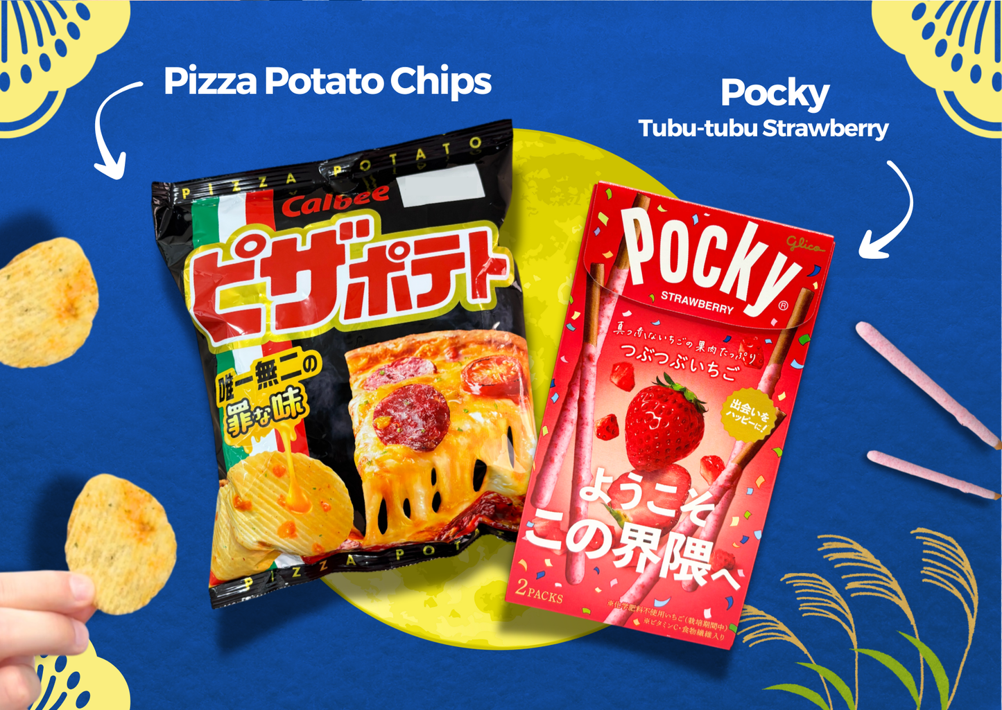 Past BOX (September-25) Japanese Snack Party Box