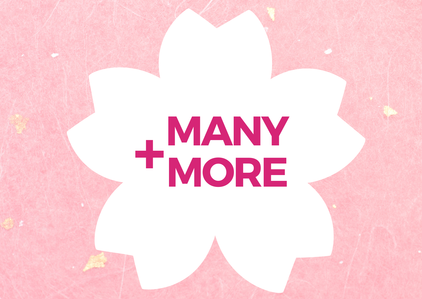 Pink background with a white cherry blossom shape reading '+ Many More', indicating additional Japanese snacks in the box.