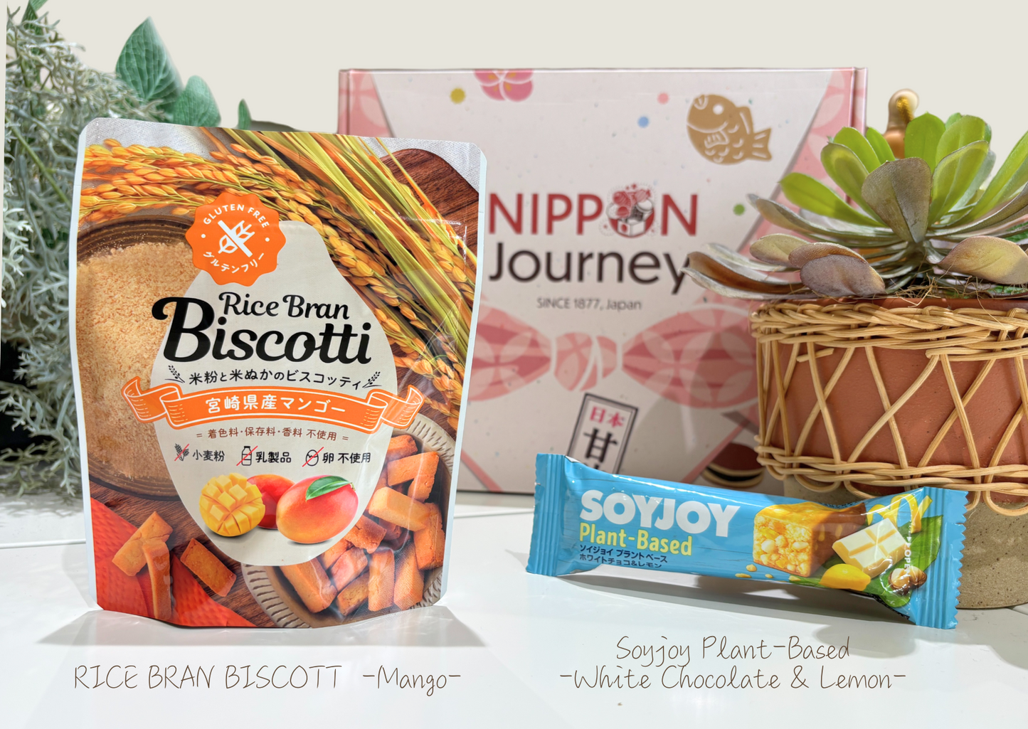 Past BOX (July-25) Japanese Healthy Delights Box