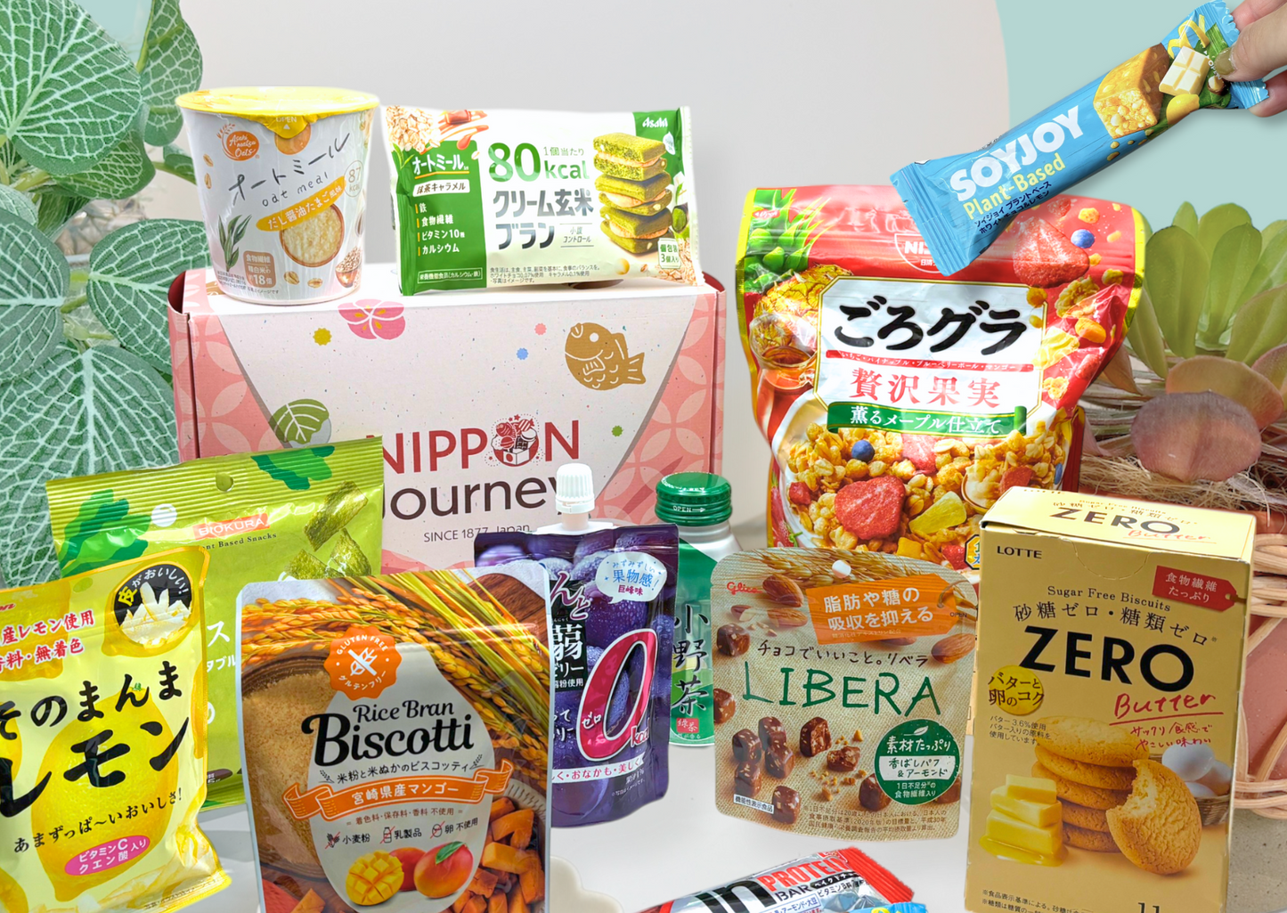 Past BOX (July-25) Japanese Healthy Delights Box