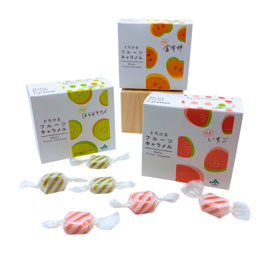 NANIWA SEIKA Melty Fruit Caramel, featuring vibrant Gifu fruit designs: strawberry, kiwi, persimmon. Soft, creamy, melt-in-your-mouth.
