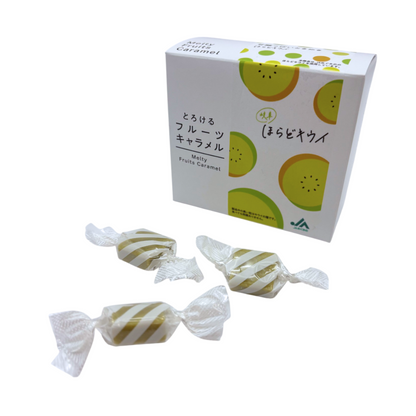 NANIWA SEIKA Melty Fruit Caramel box with wrapped candies, featuring Gifu Prefecture fruits. Allergens: Dairy, Soybean, Kiwi.